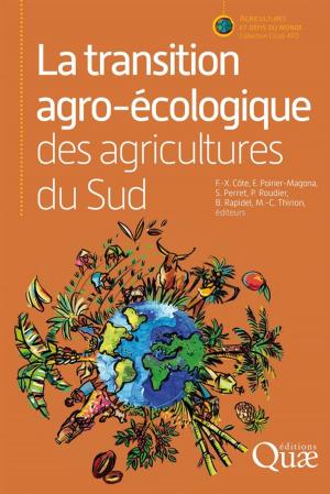 Cover of the book La transition agro-écologique des agricultures du Sud by Jean-Jacques Guillaumin