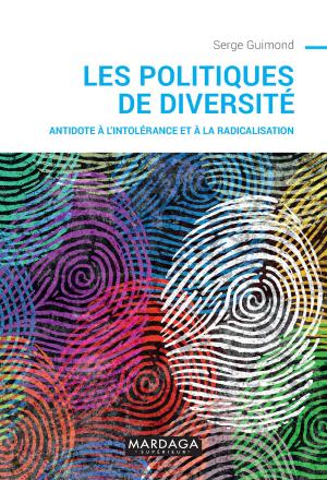 Cover of the book Les politiques de diversité by Sandrine Deplus, Magali Lahaye