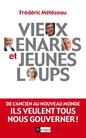 Cover of the book Vieux renards et jeunes loups by Charlotte Bousquet