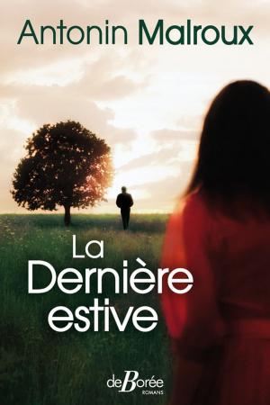 Cover of the book La Dernière estive by Christian Laborie