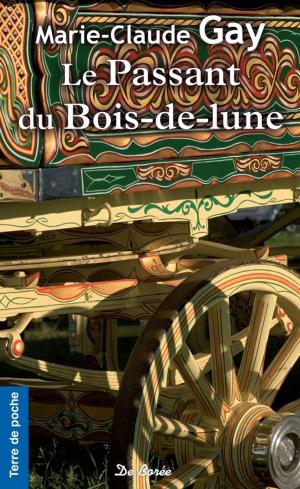 Cover of the book Le Passant du bois-de-lune by Claire Bergeron