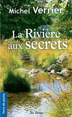 Cover of the book La Rivière aux secrets by Guy Charmasson