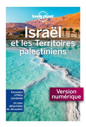 Book cover of Israël et les territoires palestiniens 5ed