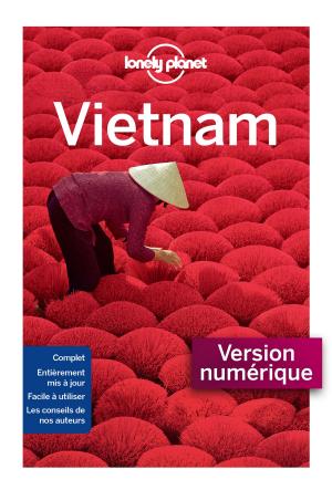 Book cover of Vietnam 13 ed