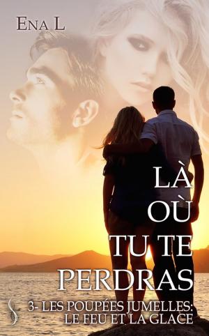 Cover of the book Les poupées jumelles by Mell 2.2