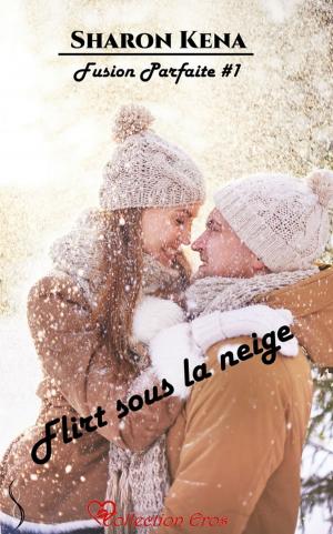 Cover of the book Flirt sous la neige by Sharon Kena