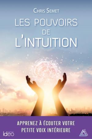 Book cover of Les pouvoirs de l'intuition