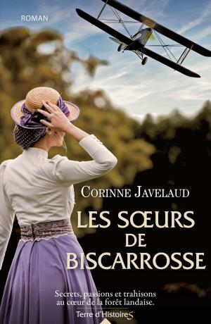 Cover of the book Les soeurs de Biscarrosse by Sophie Serrano