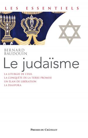 Cover of the book Le judaïsme by patrice Serres