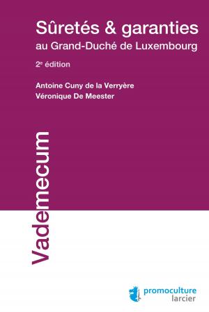 Cover of the book Sûretés et garanties au Grand-Duché de Luxembourg by Eric De Keuleneer, Monsieur Yassine Boudghene