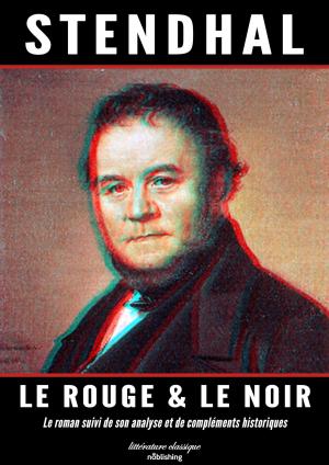 Cover of the book Le rouge et le noir by D.M. Andrews