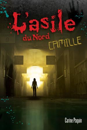 Cover of the book Camille by Alain M. Bergeron
