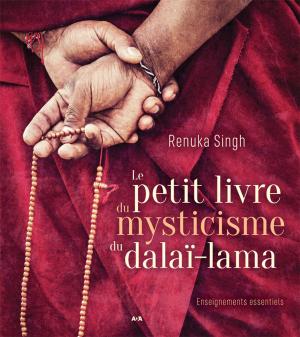 Cover of the book Le petit livre du mysticisme du Dalaï-lama by John Major Jenkins, Martin Matz