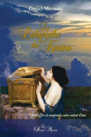 Cover of the book Le Labyrinthe du Karma - Déchiffrer et comprendre notre contrat d'âme by Daniel Meurois