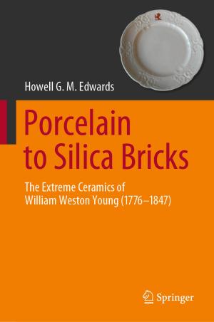 Cover of the book Porcelain to Silica Bricks by Dana Vrajitoru, William Knight