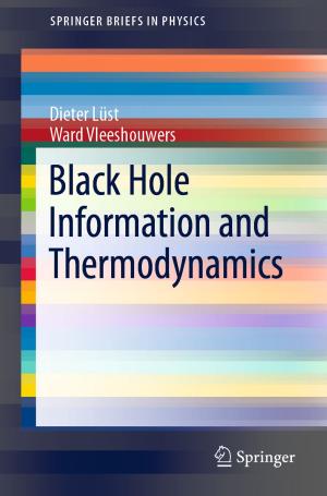 Cover of the book Black Hole Information and Thermodynamics by Renata Paola Dameri