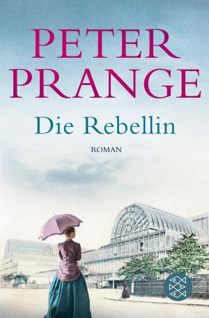 Cover of the book Die Rebellin by Amélie Breton