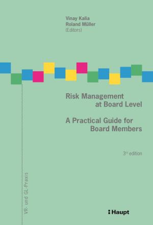 Cover of Risk Management at Board Level