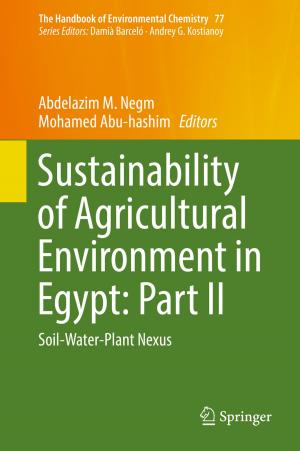 Cover of the book Sustainability of Agricultural Environment in Egypt: Part II by Achim Schweikard, Floris Ernst