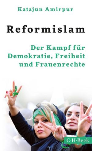 Cover of the book Reformislam by Gabriele Kokott-Weidenfeld, Kurt-Peter Merk