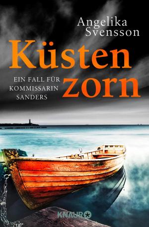 Cover of the book Küstenzorn by Daniel Holbe