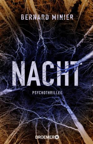 Cover of the book Nacht by Corinna Mell