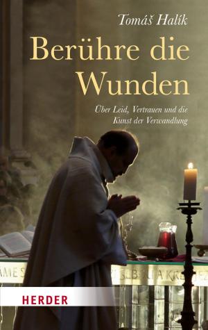 Cover of the book Berühre die Wunden by Papst Franziskus