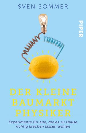 Cover of the book Der kleine Baumarkt-Physiker by Michael Schmidt-Salomon