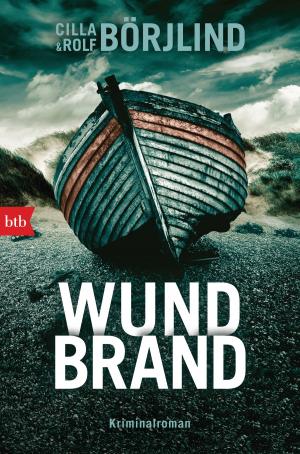 Cover of the book Wundbrand by Karen Thompson Walker