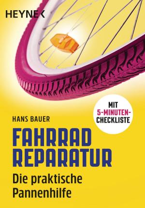 Cover of the book Fahrradreparatur by Katja Berlin, Peter Grünlich