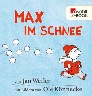 Cover of the book Max im Schnee by Martin Mosebach
