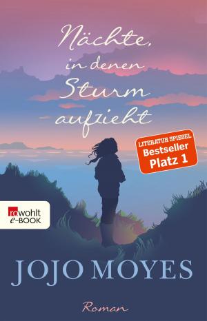 Cover of the book Nächte, in denen Sturm aufzieht by Astrid Fritz