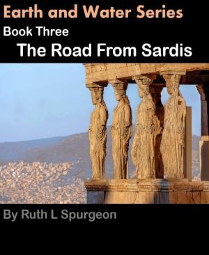 Cover of the book Book Three: The Road From Sardis by Dr. Olusola Coker