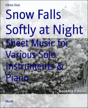 Cover of the book Snow Falls Softly at Night by Viviane Drost