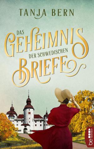 Cover of the book Das Geheimnis der schwedischen Briefe by Elaine Marie