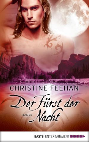 Cover of the book Der Fürst der Nacht by Adrian Doyle
