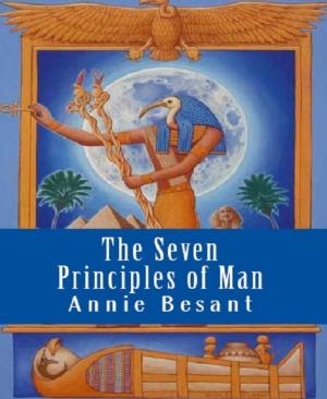 Cover of the book The Seven Principles of Man by Isabelle Vannier