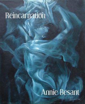 Cover of the book Reincarnation by Joshua Harestad