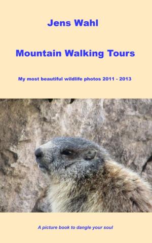 Cover of the book Mountain Walking Tours - My most beautiful wildlife photos 2011 - 2013 by Rittik Chandra