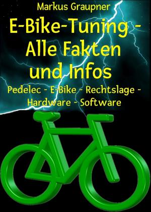 Cover of the book E-Bike-Tuning – Alle Fakten und Infos by Erno Fischer