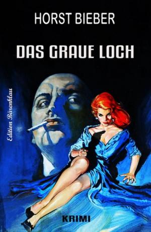 Cover of the book Das graue Loch by Daniel Herbst