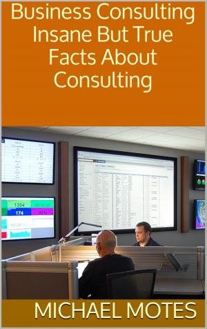 Cover of the book Business Consulting by Luise Hakasi