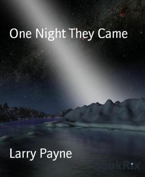 Cover of the book One Night They Came by Auden Johnson