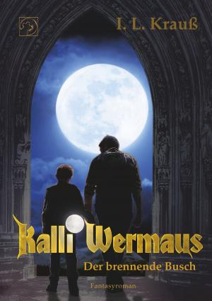 Cover of the book Kalli Wermaus by Walter Benjamin