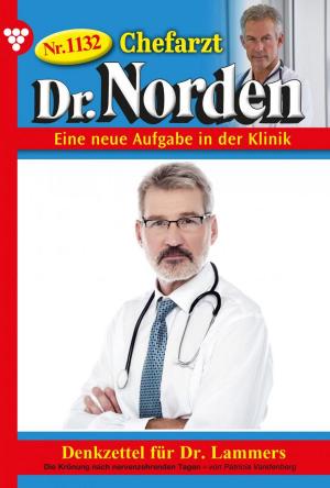 Book cover of Chefarzt Dr. Norden 1132 – Arztroman