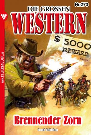 Cover of the book Die großen Western 273 by Andrew Hathaway