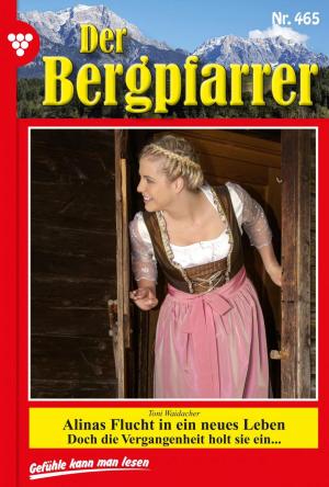 Cover of the book Der Bergpfarrer 465 – Heimatroman by Karina Kaiser