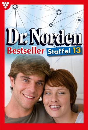 Book cover of Dr. Norden Bestseller Staffel 13 – Arztroman