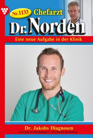 Book cover of Chefarzt Dr. Norden 1133 – Arztroman