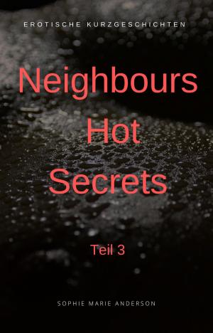 Cover of the book Neoghbours Hot Secrets by Alfred Schubert